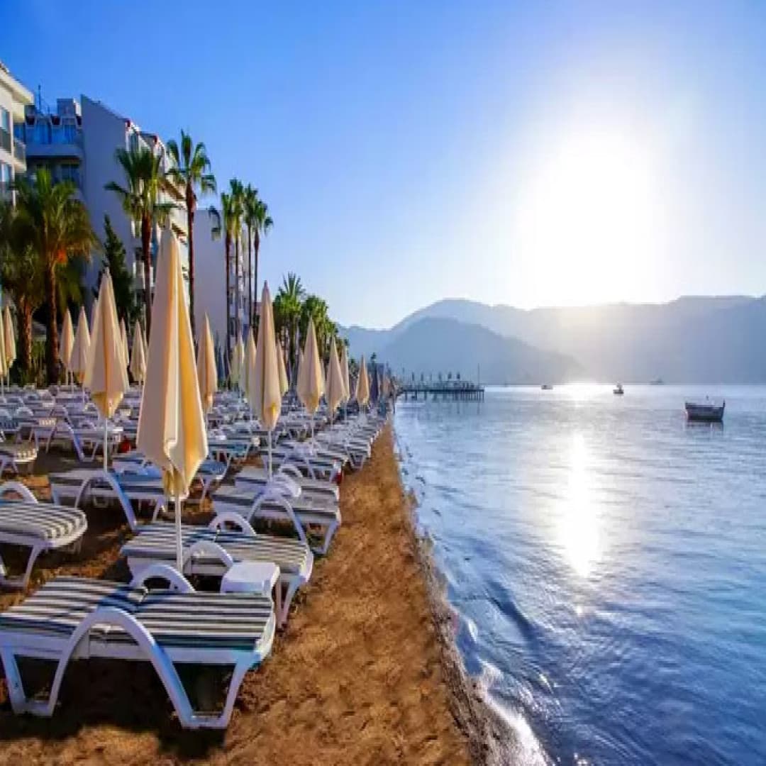 تور های کمپی