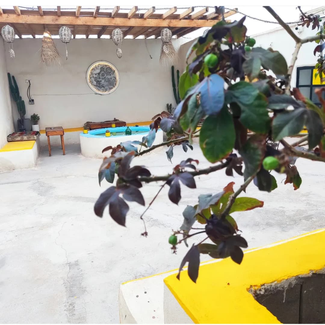 تصویر اقامتگاه مون هرمز