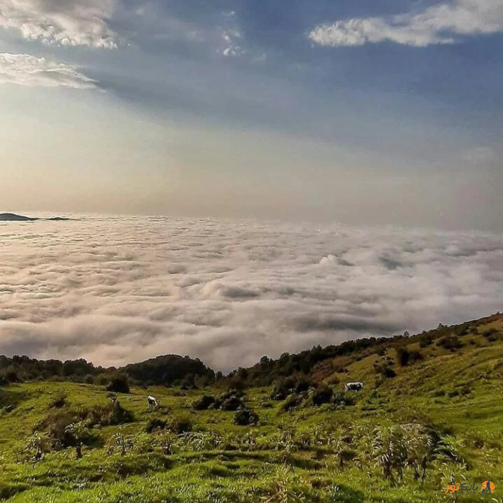 مازندران فیلبند 1