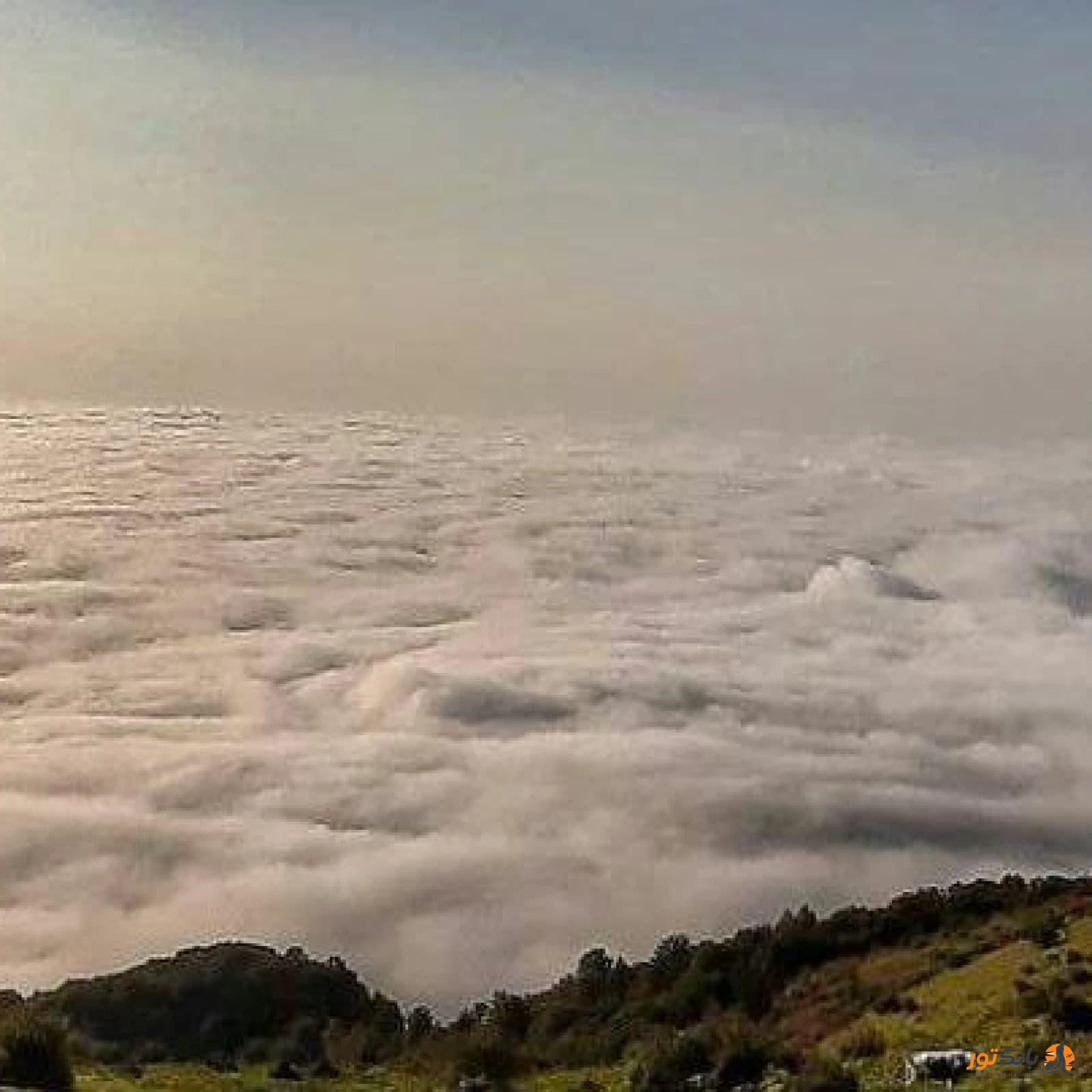 مازندران فیلبند 3