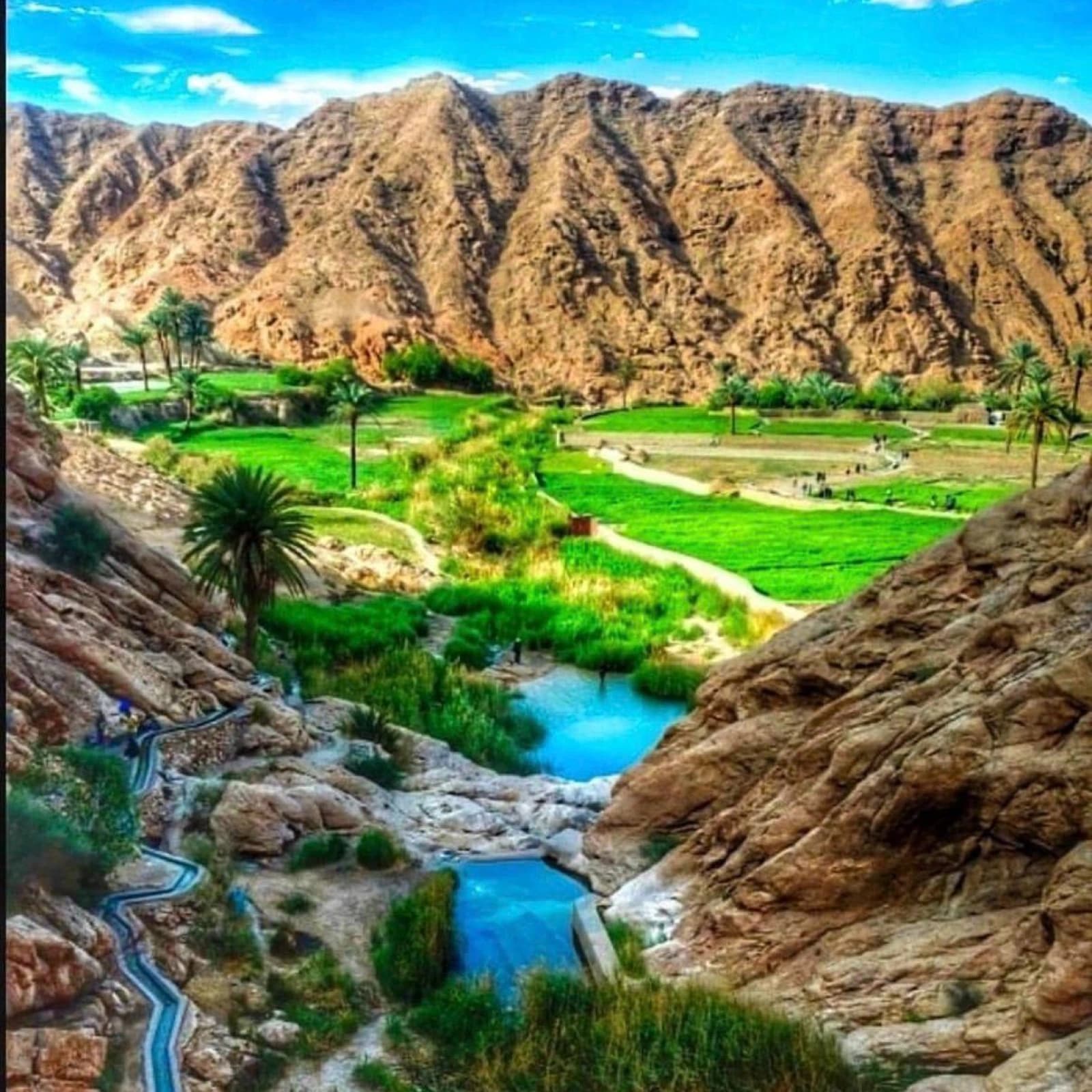طبس 5