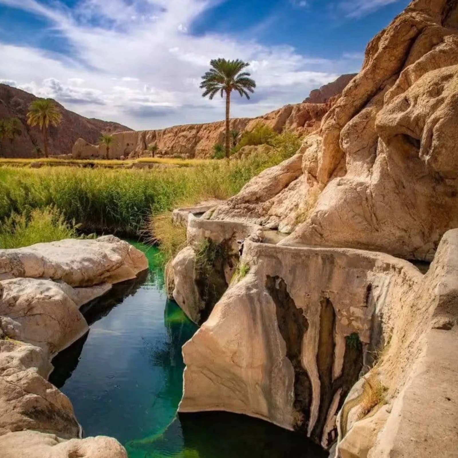 طبس 7