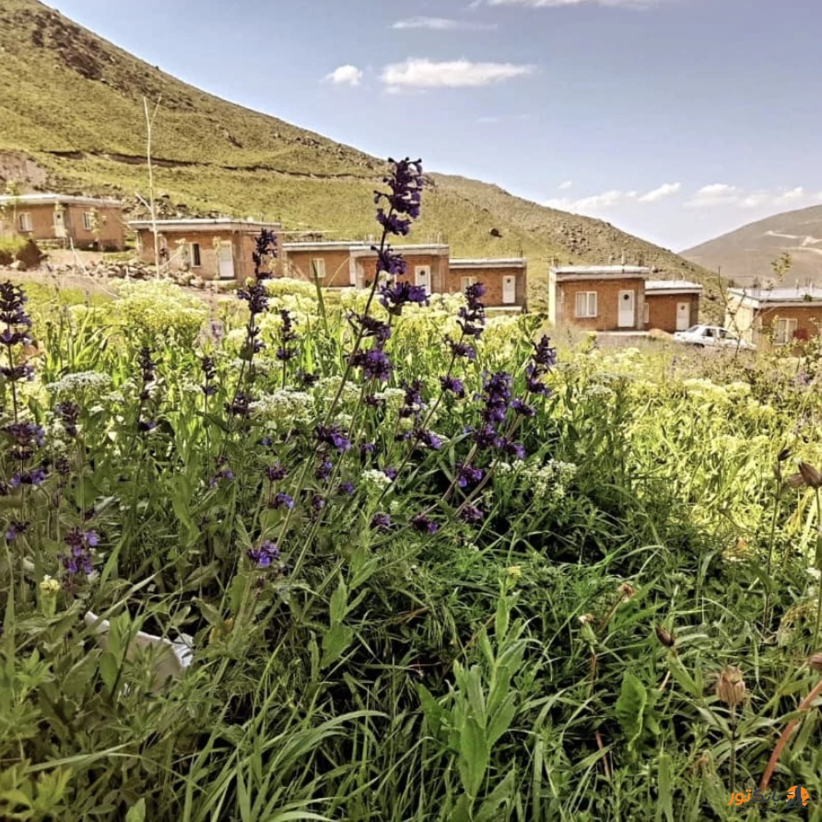 بومگردی یاشیل مشکین شهر