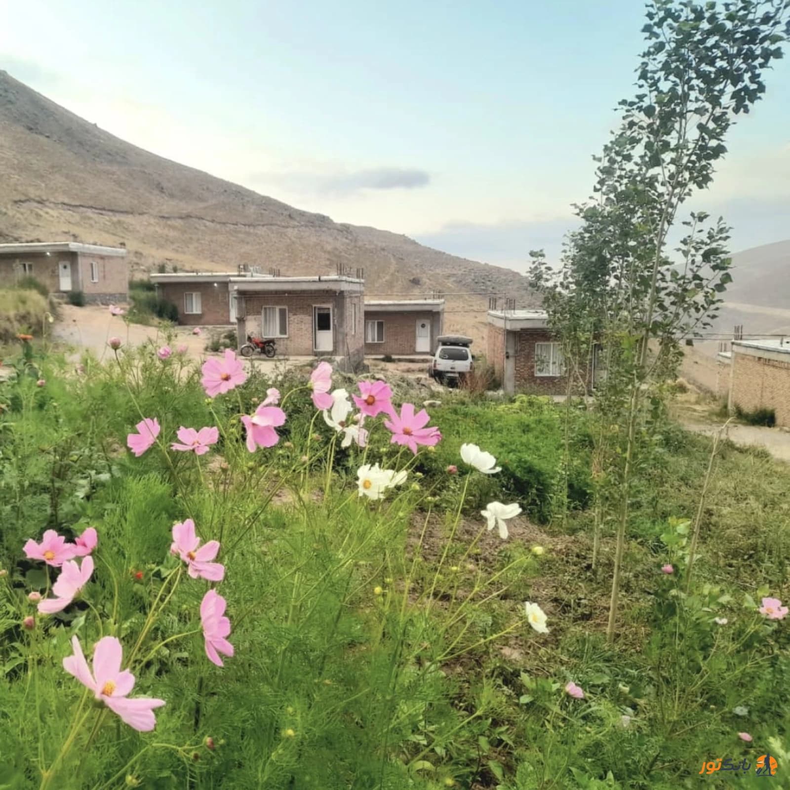بومگردی یاشیل مشکین شهر