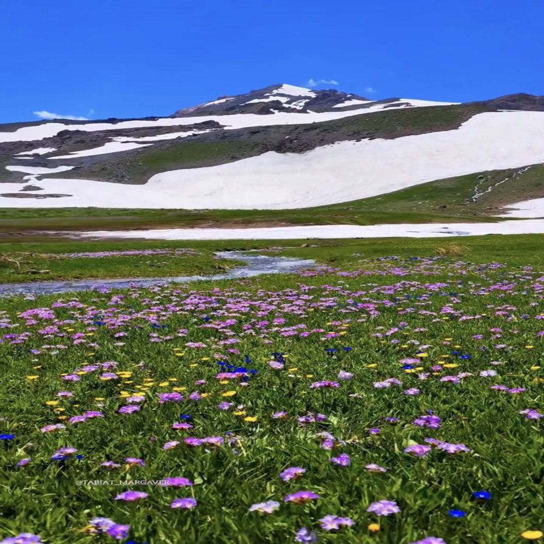 تور دالامپر ۱۴۰۵