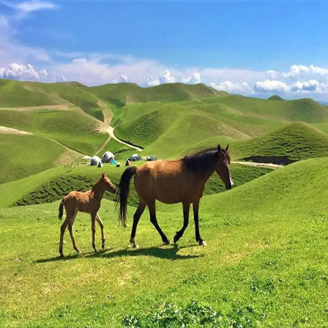 تور 3.5 روزه ترکمن صحرا