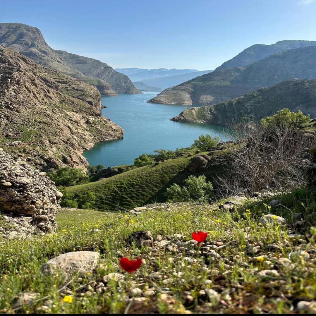 تنگه قاسمی تا کمپ دشت سوسن