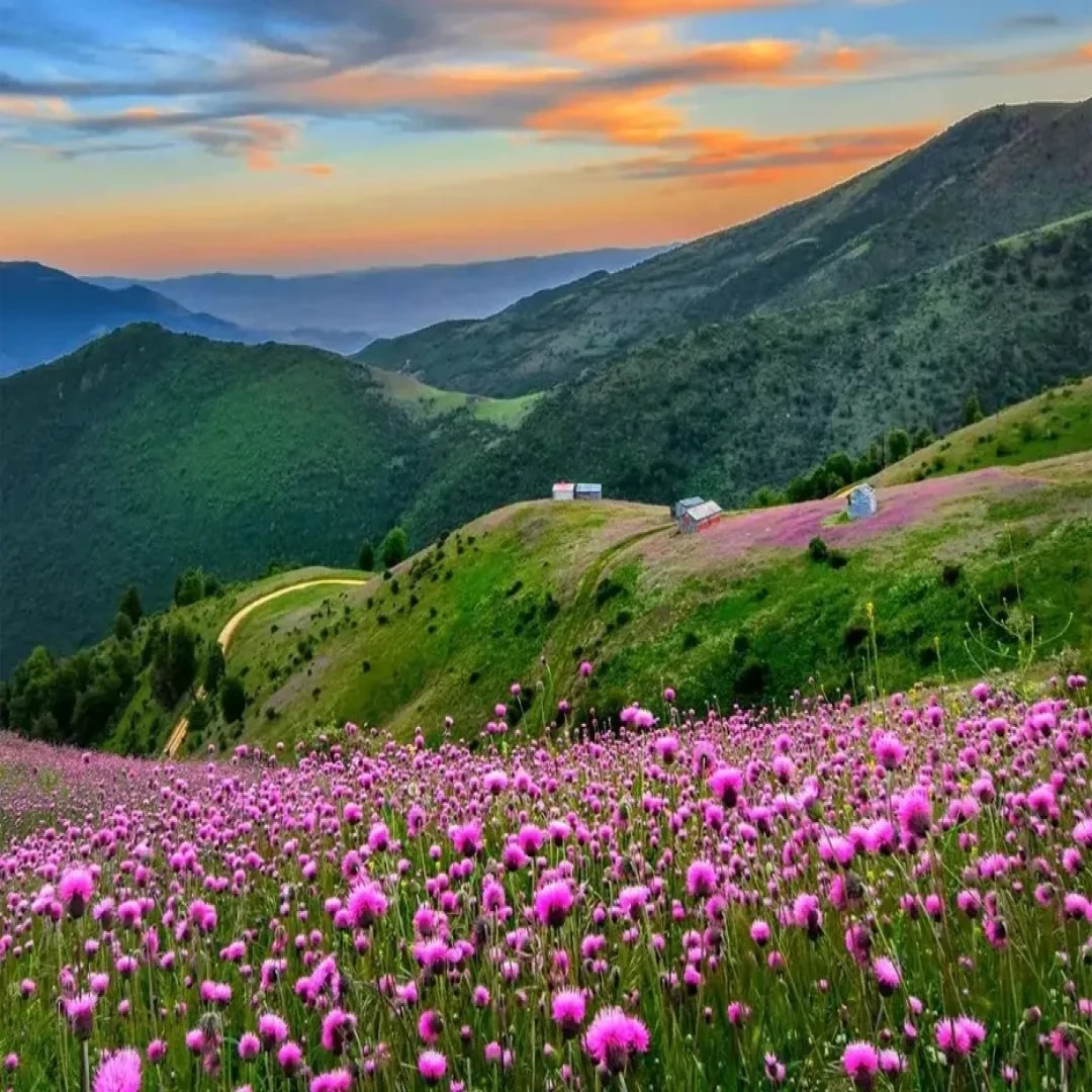 تور یک‌روزه ییلاق سلانسر