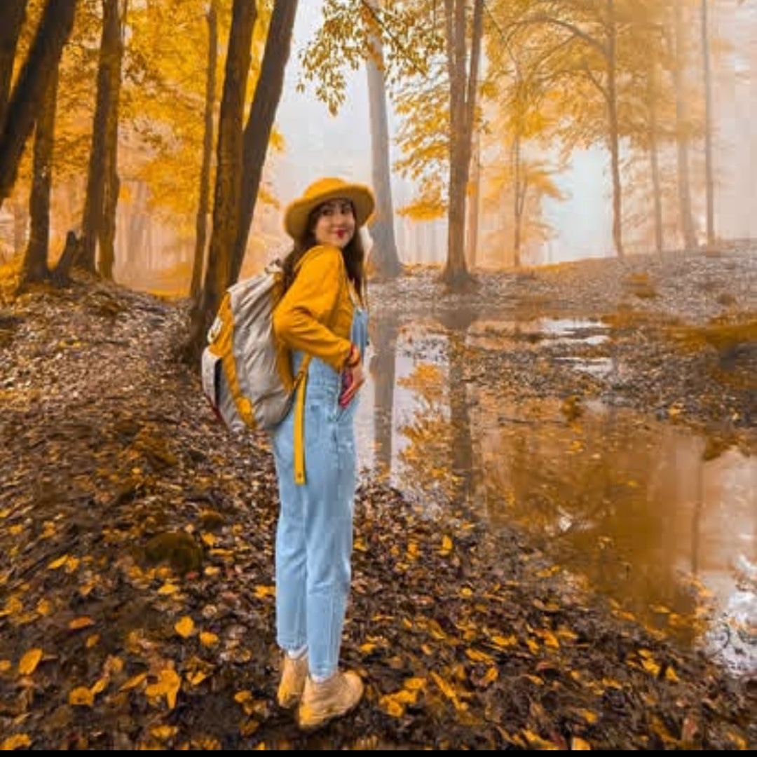 تور یک روزه آلش دشت