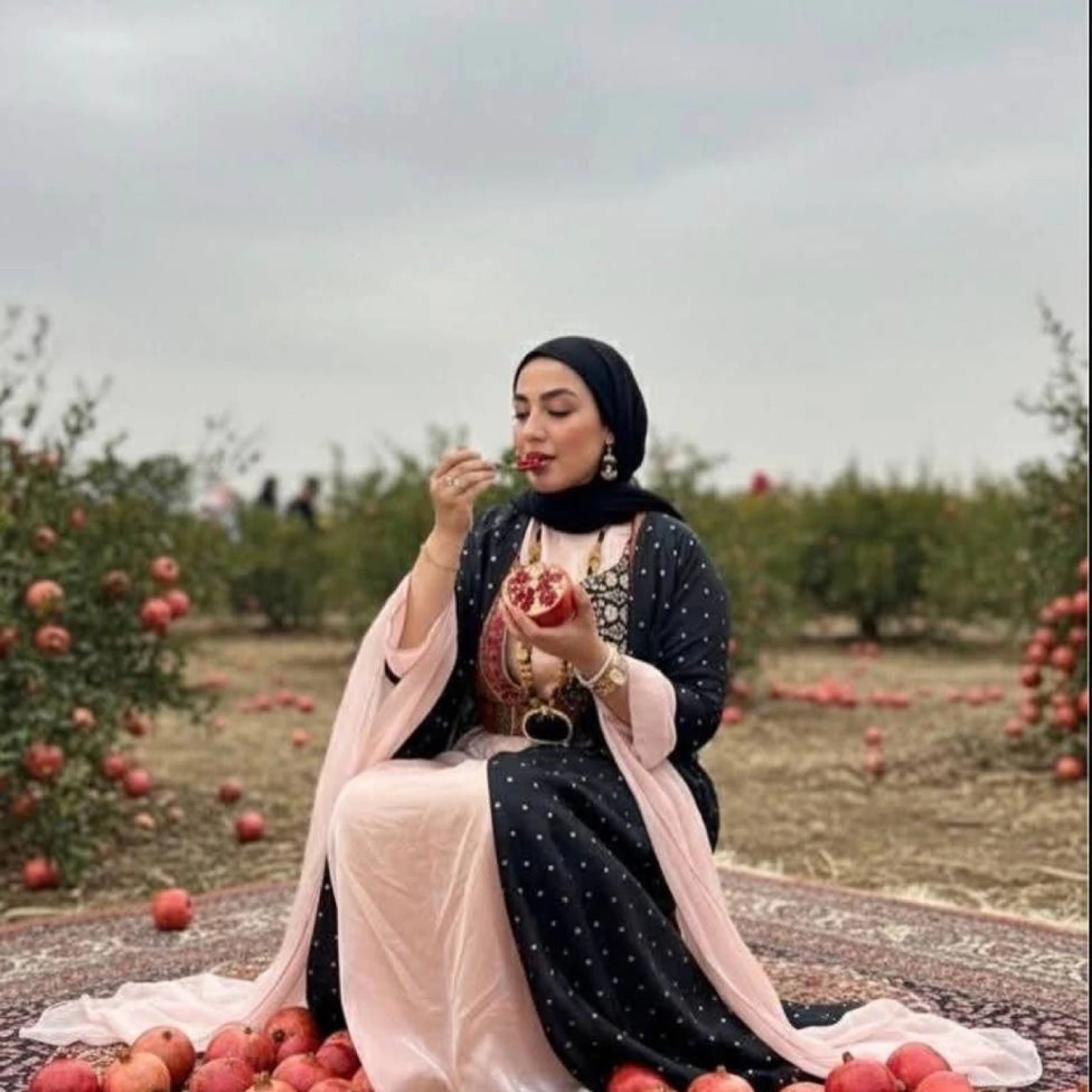 تور جشن انار کردستان