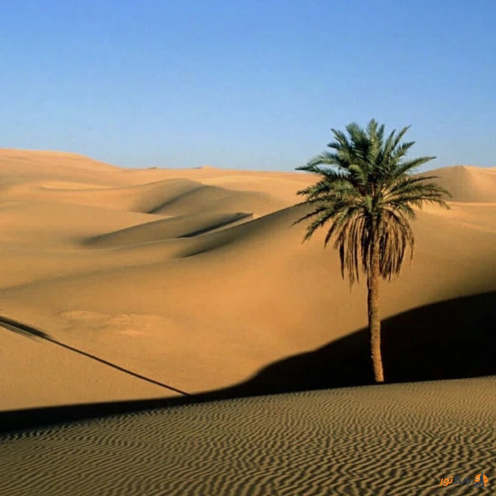 کویر مصر 2