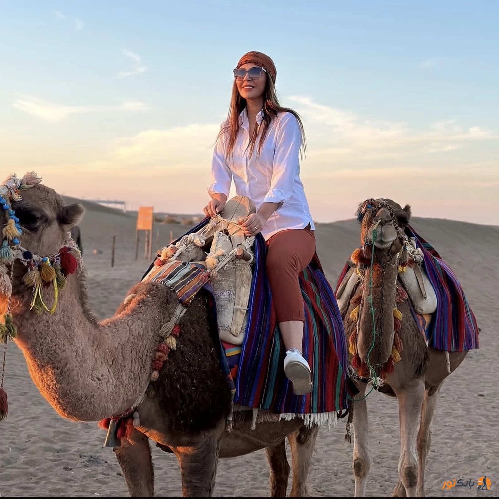 کویر مصر 6