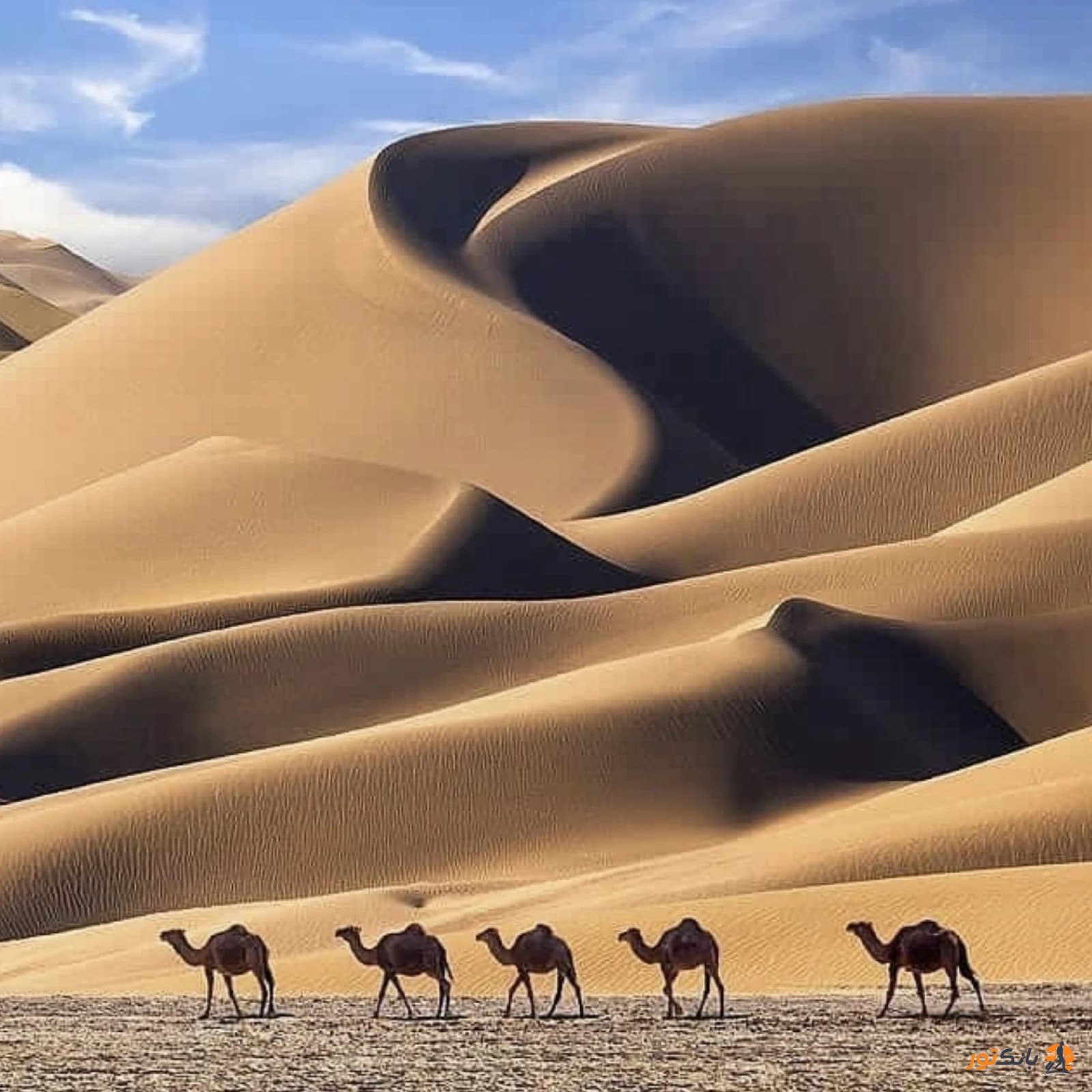 کویر مصر 4